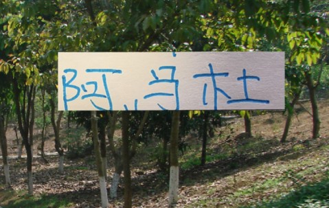 开云体育app-亚冠别受伤才是王道！ 想想去年申花兽腰阿马杜 太可惜了